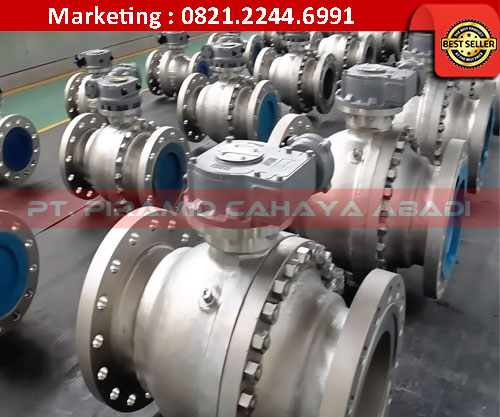 Ball Valve PT Piramid Cahaya Abadi