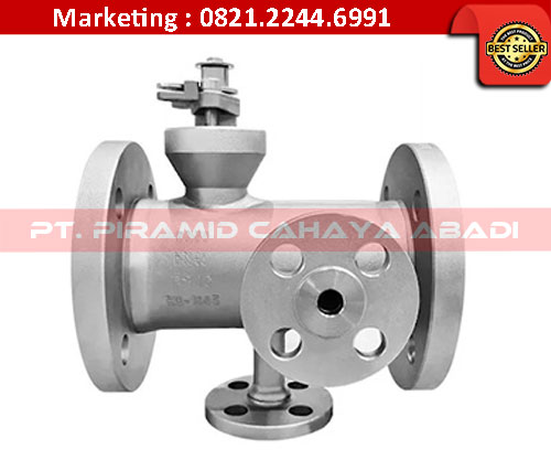Jual Reduce Bore Ball Valve PT Piramid Cahaya Abadi