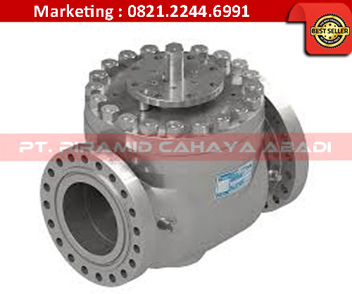 Top Entry Ball Valve PT Piramid Cahaya Abadi