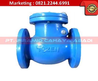 Jual Check Valve Tozen PT Piramid Cahaya Abadi