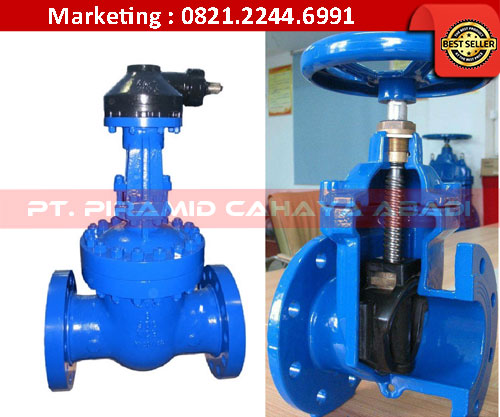 Gate Valve Felexible Wedge PT Piramid Cahaya Abadi