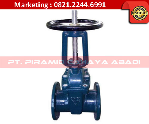 Gate Valve Rising Stem PT Piramid Cahaya Abadi