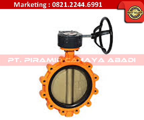 Mono Flange Butterfly Valve PT Piramid Cahaya Abadi